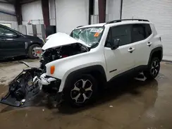 ZACNJBAB5LPL67390 2020 JEEP RENEGADE