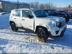ZACNJBAB6KPJ83817 2019 JEEP RENEGADE
