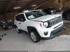 ZACNJBAB8KPJ84466 2019 JEEP RENEGADE