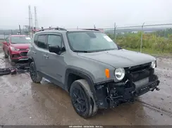 ZACNJBAB8KPK49185 2019 JEEP RENEGADE