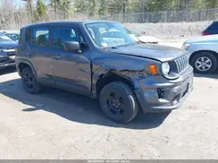 ZACNJBAB8KPK89007 2019 JEEP RENEGADE
