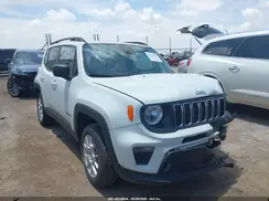 ZACNJBAB9KPK05423 2019 JEEP RENEGADE