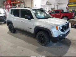 ZACNJBAB9KPK21251 2019 JEEP RENEGADE