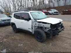 ZACNJBAB9KPK40365 2019 JEEP RENEGADE