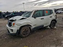 ZACNJBAB9KPK51236 2019 JEEP RENEGADE