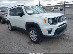 ZACNJBAB9LPL40256 2020 JEEP RENEGADE