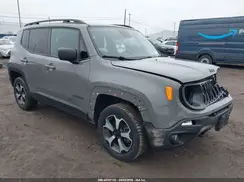 ZACNJBAB9LPL50494 2020 JEEP RENEGADE