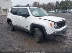 ZACNJBABXKPK86769 2019 JEEP RENEGADE