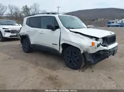 ZACNJBABXKPK92281 2019 JEEP RENEGADE