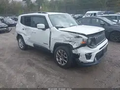 ZACNJBB10KPK46089 2019 JEEP RENEGADE