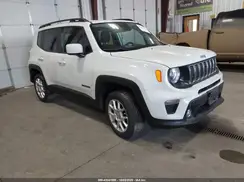 ZACNJBBB0KPJ98019 2019 JEEP RENEGADE