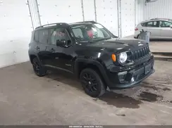 ZACNJBBB0LPL29287 2020 JEEP RENEGADE