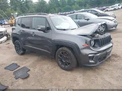 ZACNJBBB0LPL93166 2020 JEEP RENEGADE
