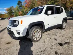 ZACNJBBB1KPJ74392 2019 JEEP RENEGADE