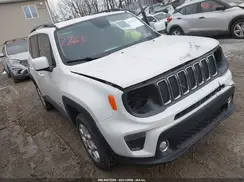 ZACNJBBB1KPJ76921 2019 JEEP RENEGADE