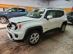 ZACNJBBB1KPJ78667 2019 JEEP RENEGADE
