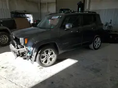 ZACNJBBB1KPK02904 2019 JEEP RENEGADE