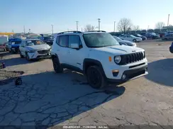 ZACNJBBB1KPK16687 2019 JEEP RENEGADE