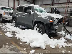 ZACNJBBB1KPK50192 2019 JEEP RENEGADE
