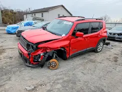 ZACNJBBB1KPK50290 2019 JEEP RENEGADE