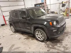 ZACNJBBB2KPJ98118 2019 JEEP RENEGADE