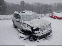 ZACNJBBB2LPL54594 2020 JEEP RENEGADE
