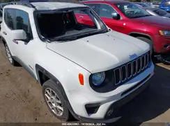 ZACNJBBB3KPJ79318 2019 JEEP RENEGADE