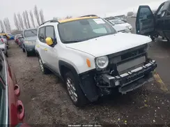 ZACNJBBB3KPJ81294 2019 JEEP RENEGADE