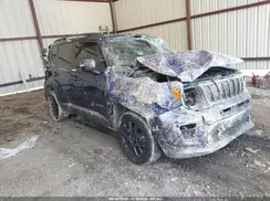 ZACNJBBB3KPK18280 2019 JEEP RENEGADE