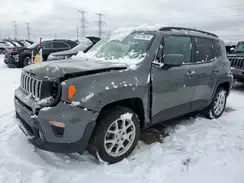 ZACNJBBB3KPK44085 2019 JEEP RENEGADE
