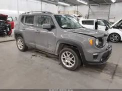 ZACNJBBB3KPK49139 2019 JEEP RENEGADE
