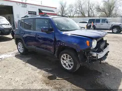 ZACNJBBB3KPK71013 2019 JEEP RENEGADE