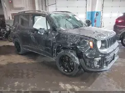 ZACNJBBB3LPM02569 2020 JEEP RENEGADE