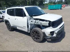 ZACNJBBB4KPK54687 2019 JEEP RENEGADE