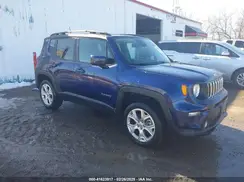 ZACNJBBB5KPJ89333 2019 JEEP RENEGADE