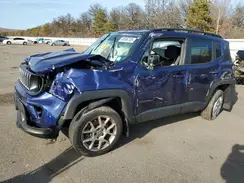 ZACNJBBB5LPL73219 2020 JEEP RENEGADE