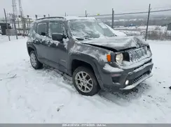 ZACNJBBB7KPK49967 2019 JEEP RENEGADE