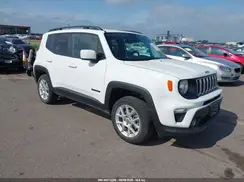 ZACNJBBB7LPL46202 2020 JEEP RENEGADE