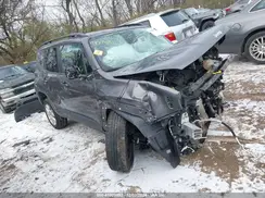 ZACNJBBB7LPL67244 2020 JEEP RENEGADE