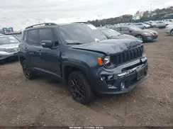 ZACNJBBB7LPL73965 2020 JEEP RENEGADE