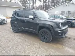 ZACNJBBB8KPJ93165 2019 JEEP RENEGADE