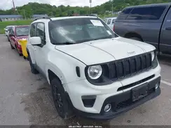 ZACNJBBB8KPK73971 2019 JEEP RENEGADE