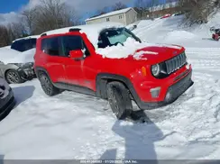 ZACNJBBB8LPL46175 2020 JEEP RENEGADE