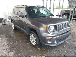 ZACNJBBB8LPL73344 2020 JEEP RENEGADE
