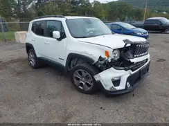 ZACNJBBB9KPK26156 2019 JEEP RENEGADE