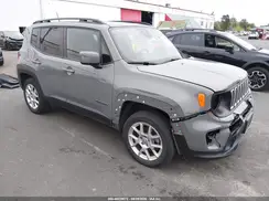 ZACNJBBB9KPK49176 2019 JEEP RENEGADE