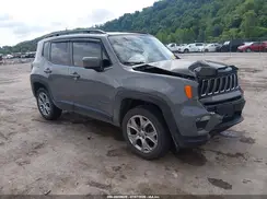 ZACNJBBB9KPK50554 2019 JEEP RENEGADE