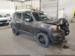ZACNJBBB9KPK56516 2019 JEEP RENEGADE
