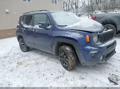 ZACNJBBB9LPM10823 2020 JEEP RENEGADE