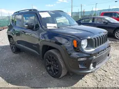 ZACNJBBBXKPJ99663 2019 JEEP RENEGADE